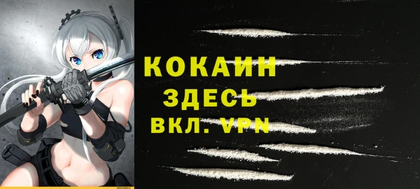 гидра Белокуриха