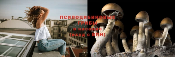 кристаллы Белоозёрский