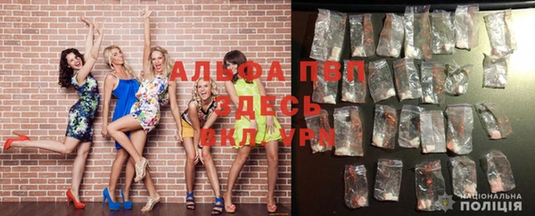 гидра Белокуриха