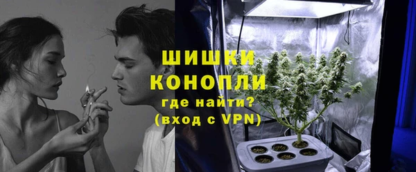 гидра Белокуриха