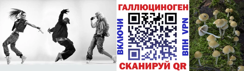 цены   Называевск  Псилоцибиновые грибы Psilocybine cubensis 